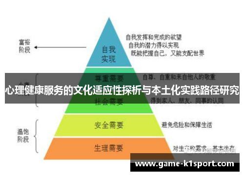 心理健康服务的文化适应性探析与本土化实践路径研究