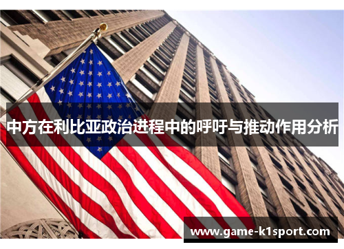 中方在利比亚政治进程中的呼吁与推动作用分析