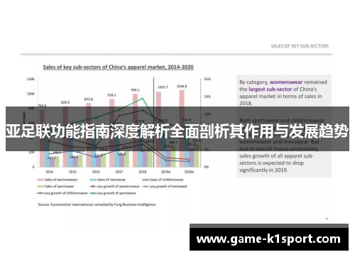 亚足联功能指南深度解析全面剖析其作用与发展趋势
